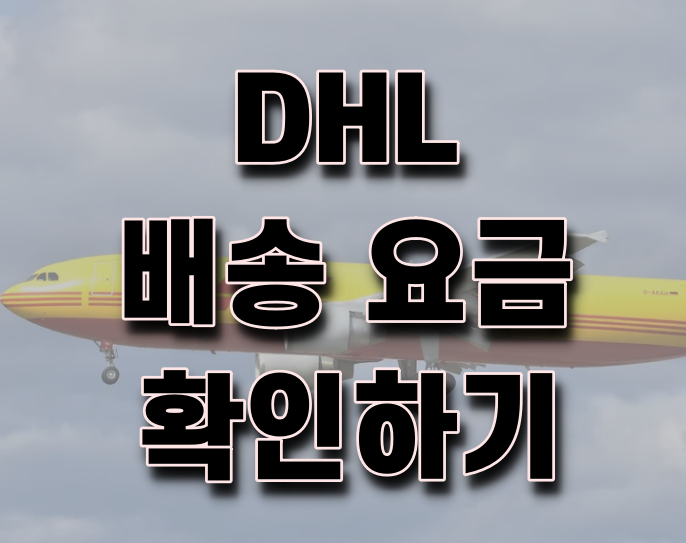 DHL 배송 요금 확인하는 방법